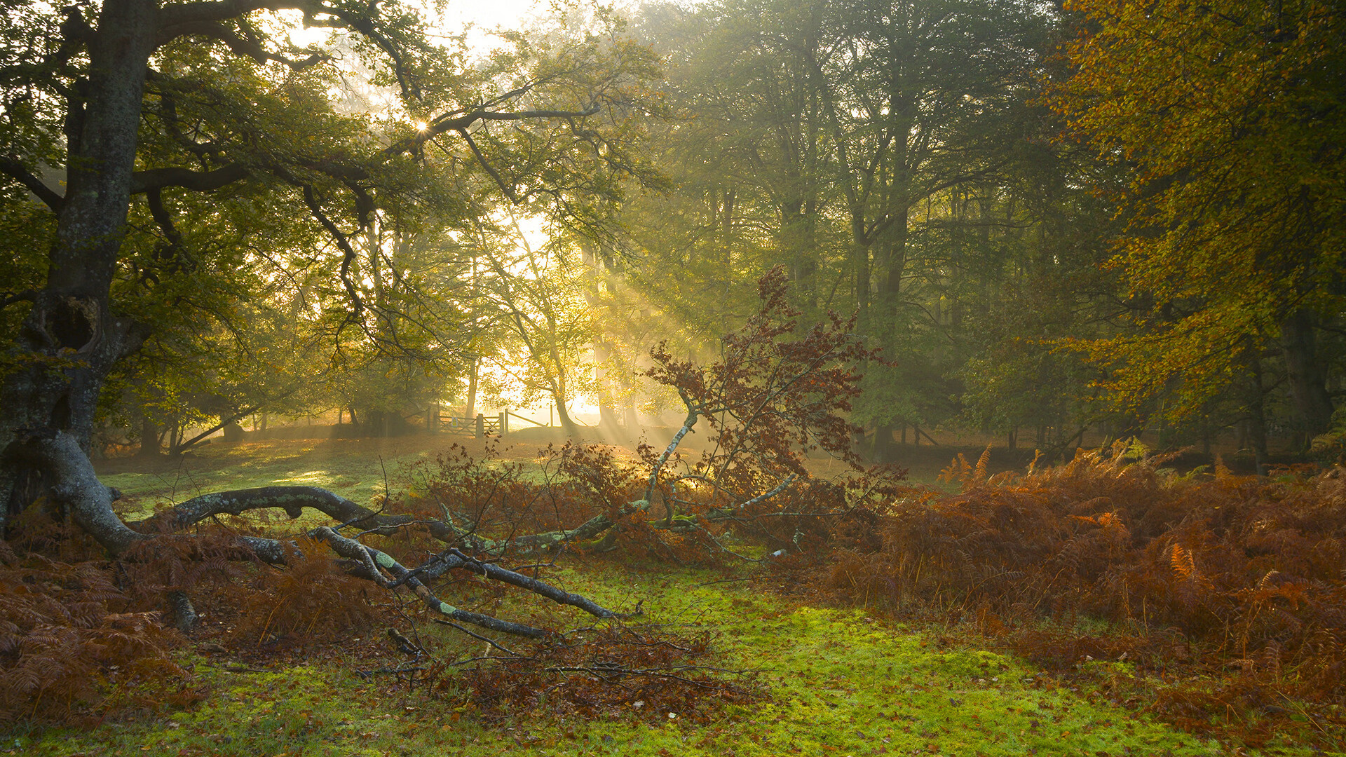 九游APP-G联赛球员交易引关注,g联赛得分榜