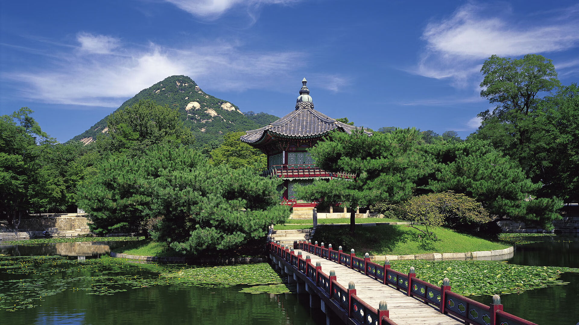 九游体育直播-柏林赫塔主场击败对手,继续追赶领头羊,柏林赫塔队