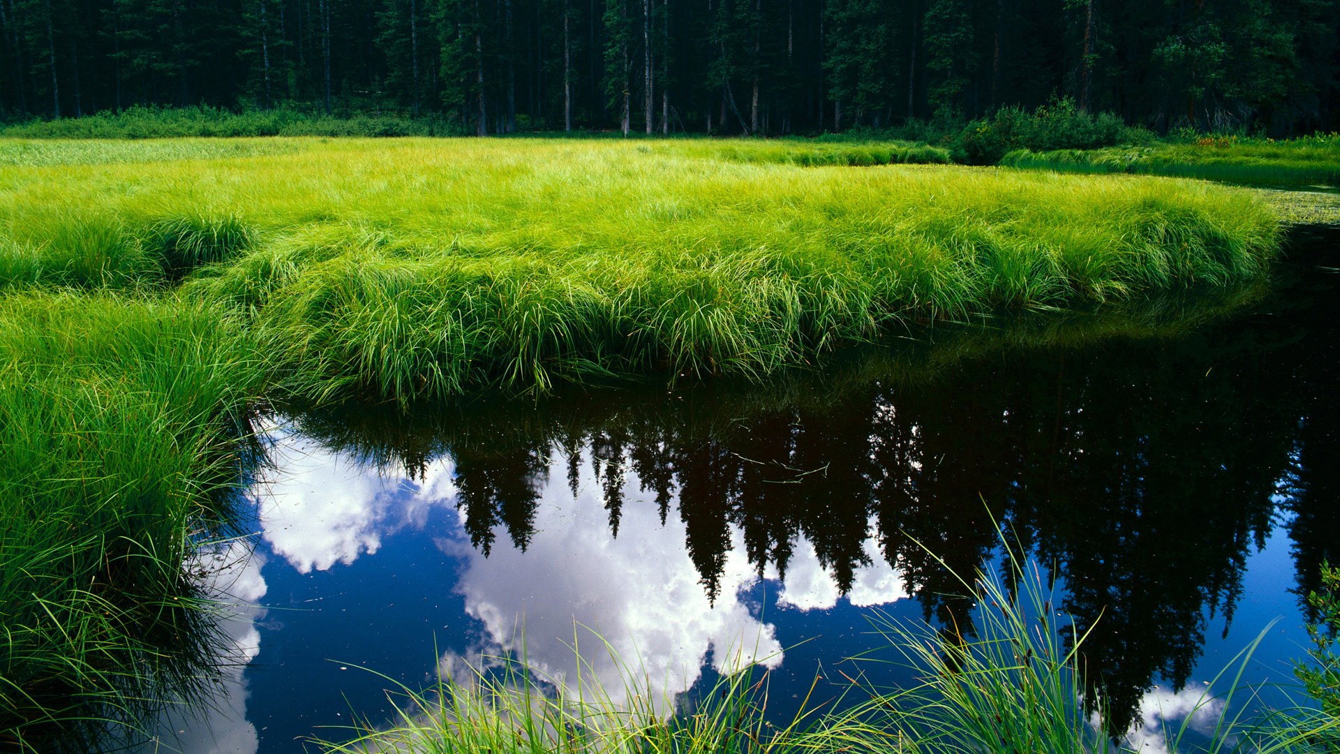 九游娱乐app下载-荷兰女足在预选赛中仅获3分，排名第三，荷兰女足出线