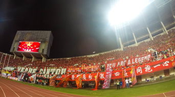 Jiuyou Sports-“运动舞蹈:金牛区城北体育馆让你看到的不仅仅是舞蹈,更是灵魂与身体的交响”