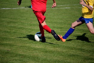 详细阅读:九游体育下载-国家队与俱乐部之间协调机制为何不顺畅,国家队比赛和俱乐部比赛冲突 九游体育下载-国家队与俱乐部之间协调机制为何不顺畅,国家队比赛和俱乐部比赛冲突