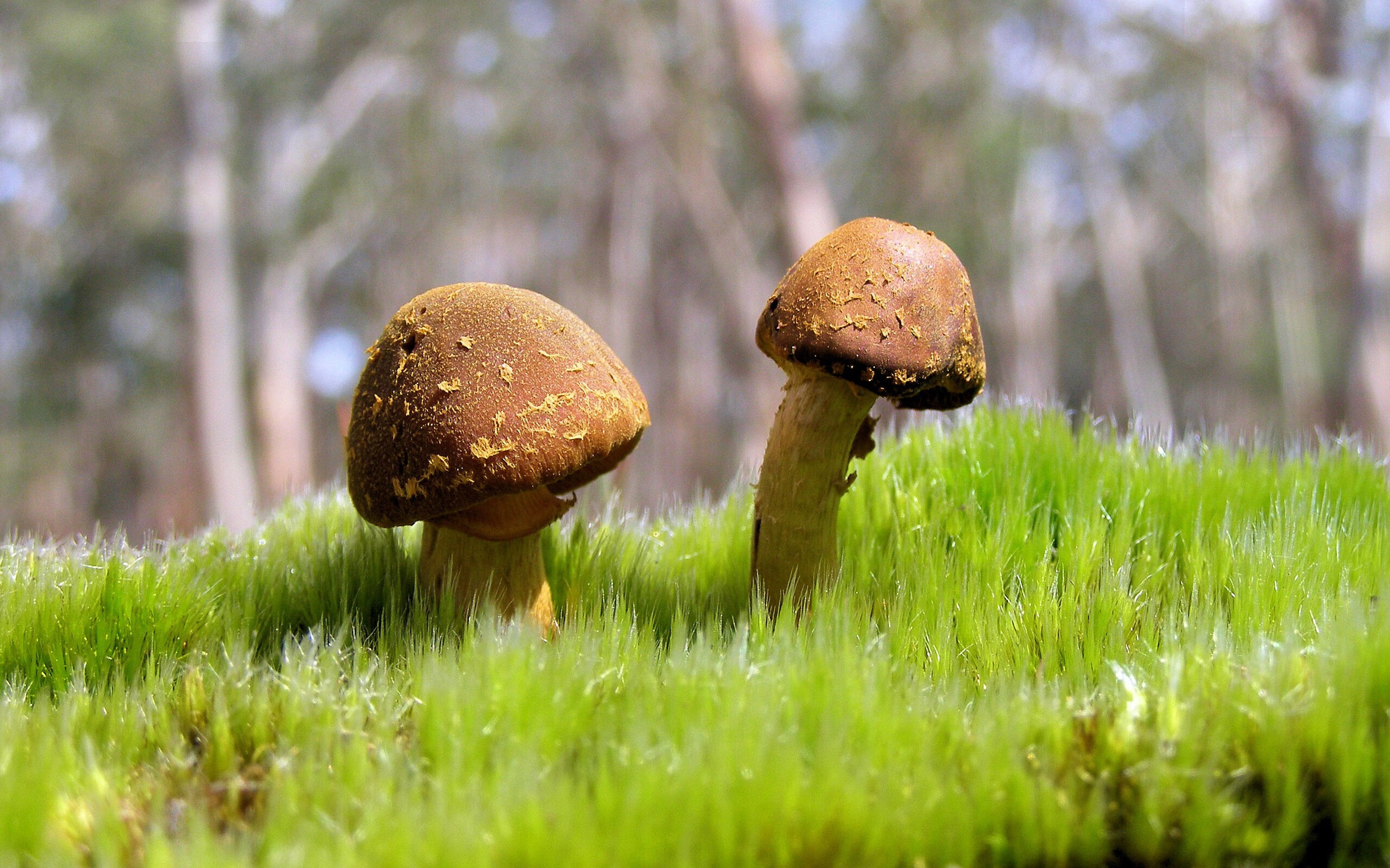 九游官网-马洛卡小范围传控提升控球稳定性，马洛卡是什么意思