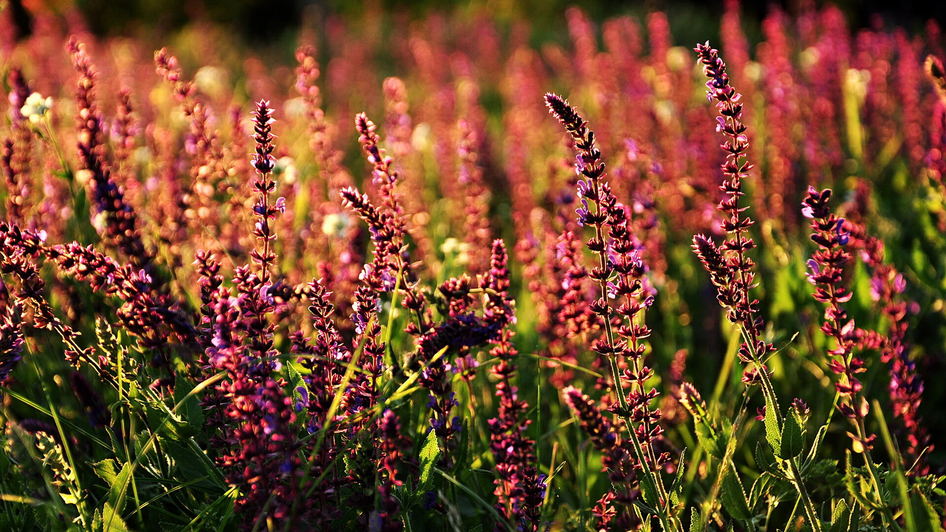 九游娱乐入口-技术细节提升带动整体队伍表现提升，如何提高技术团队的工作效率