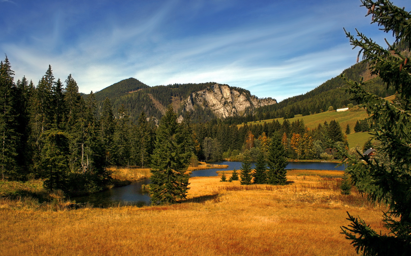 九游体育娱乐-森林狼连续三场胜利媒体一致称赞，森林狼比赛