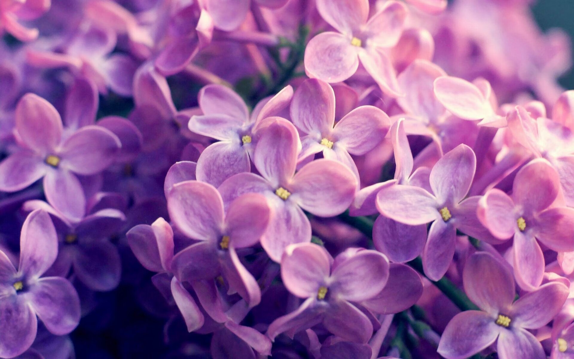 九游体育入口-步行者内线缺乏强硬导致失分严重，步行者内线球星