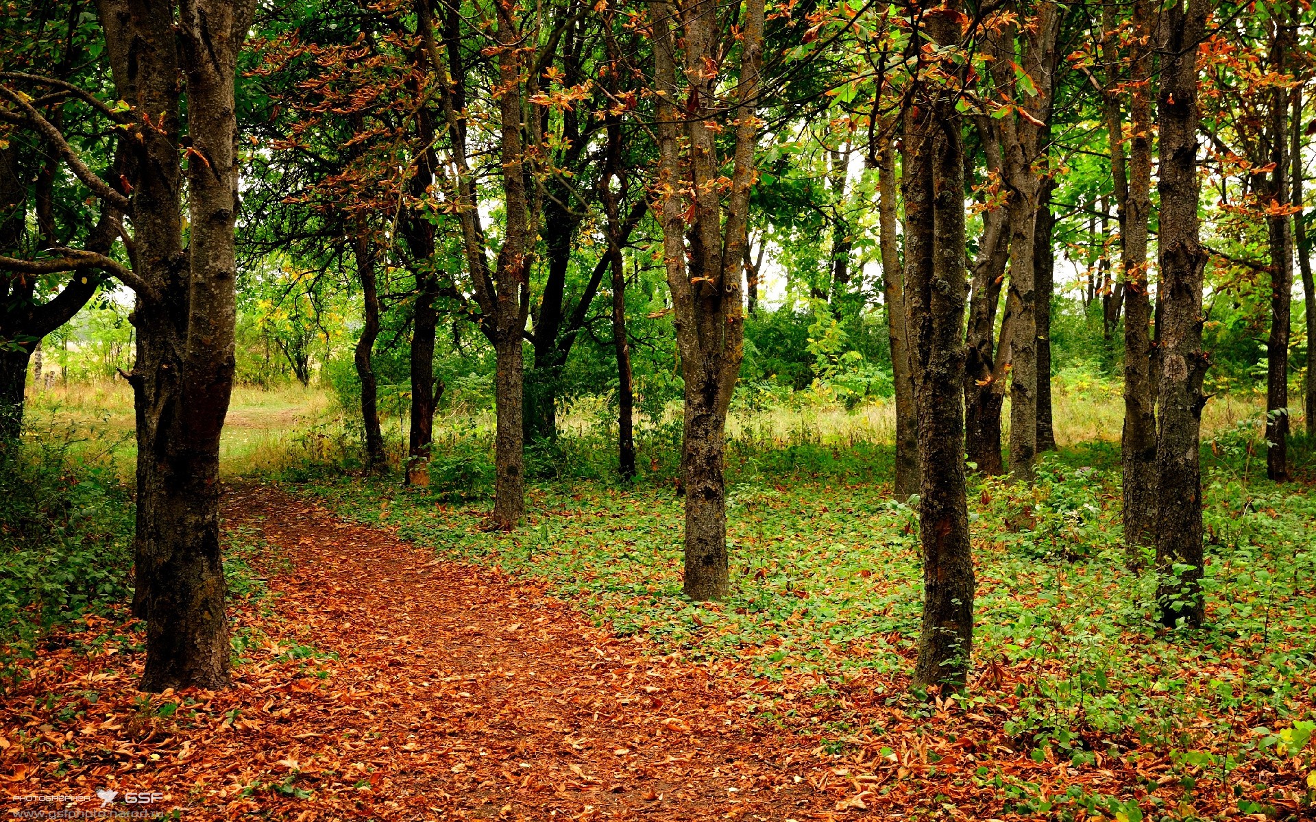 九游平台-火箭迎来挑战NBA总决赛,火箭队总决赛录像回放